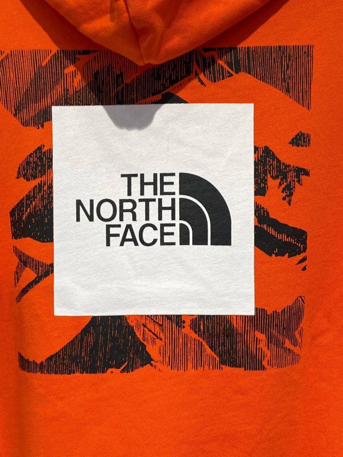 Худи The North Face  